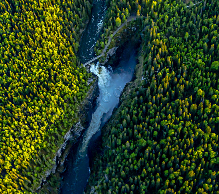 aerial photo, aerial photo, aerial photos, aerial photos, attractions, canyon, drone aerial, drnarfoto, Hllingsfallet, Jamtland, kanjon, landscapes, summer, Swedish Mountains, water fall