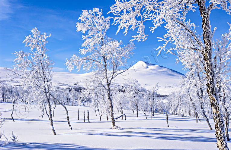 atmosphere, Gaajsartjahke, hoarfrost, landscapes, Lapland, mountain, season, seasons, snow, spring-winter, vita vidder, winter, winter mountains