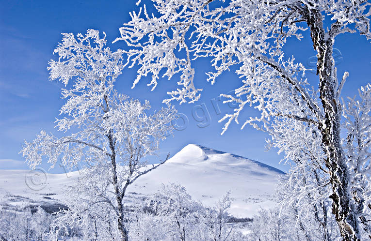 atmosphere, Gaisare, hoarfrost, landscapes, Lapland, mountain, season, seasons, snow, vita vidder, winter, winter mountains
