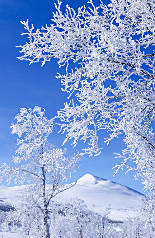 atmosphere, Gaisare, hoarfrost, landscapes, Lapland, mountain, season, seasons, snow, vita vidder, winter, winter mountains