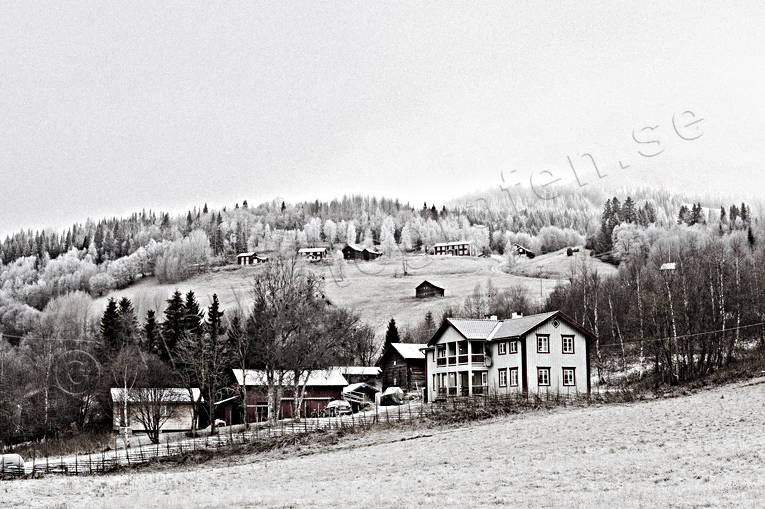 autumn, Björnänge, buildings, farms, house, Jamtland, landscapes, seasons