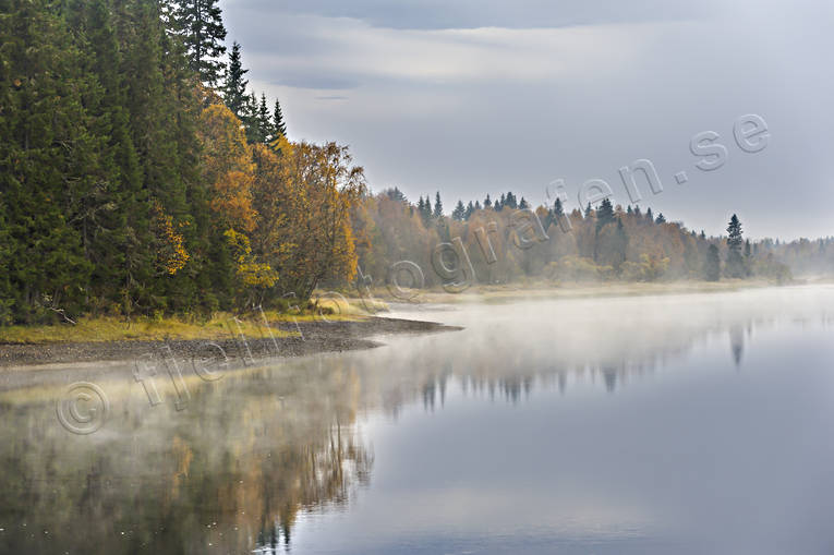 autumn, fog, hstdimma, Indal river, Jamtland, landscapes, lugnt, seasons, watercourse