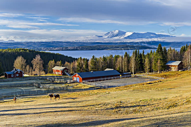 Areskutan, autumn, buildings, engineering projects, farms, horses, hstgrd, installations, Jamtland, landscapes