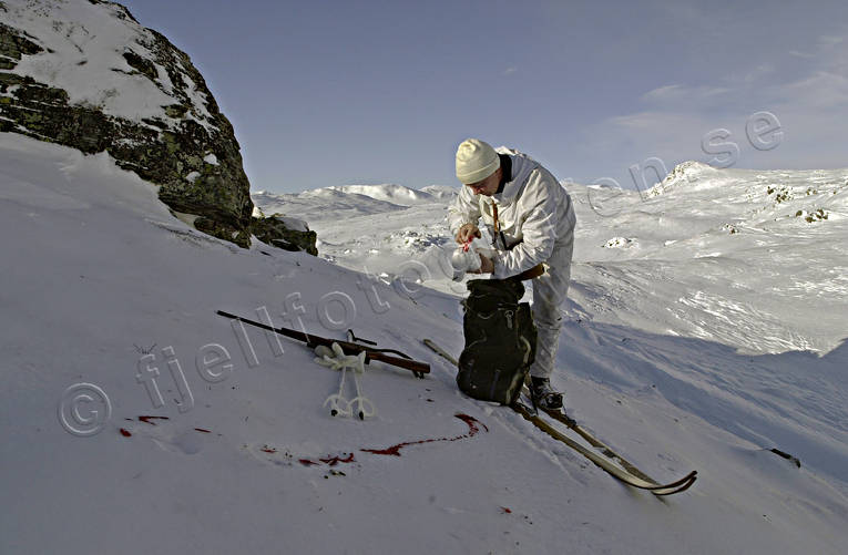 alpine hunter, alpine hunting, hunting, mountains, ptarmigan, ptarmigan, vinterjakt ripa, vinterripa, white grouse hunt, winter