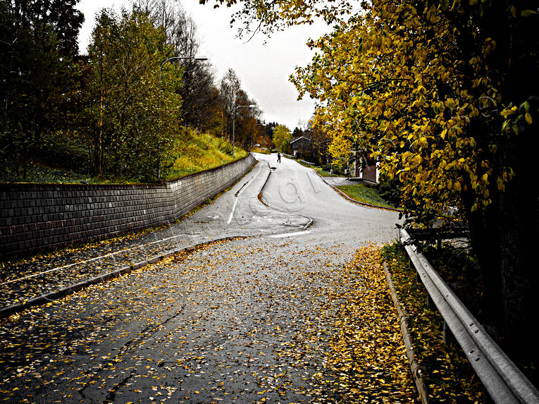 Are, autumn, autumn leaves, Jamtland, samhällen, seasons, street