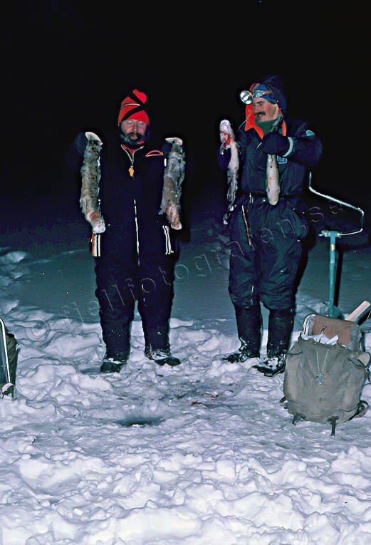 angling, burbot fishing, fishing, ice fishing, ice fishing, lake, night fishing, winter fishing