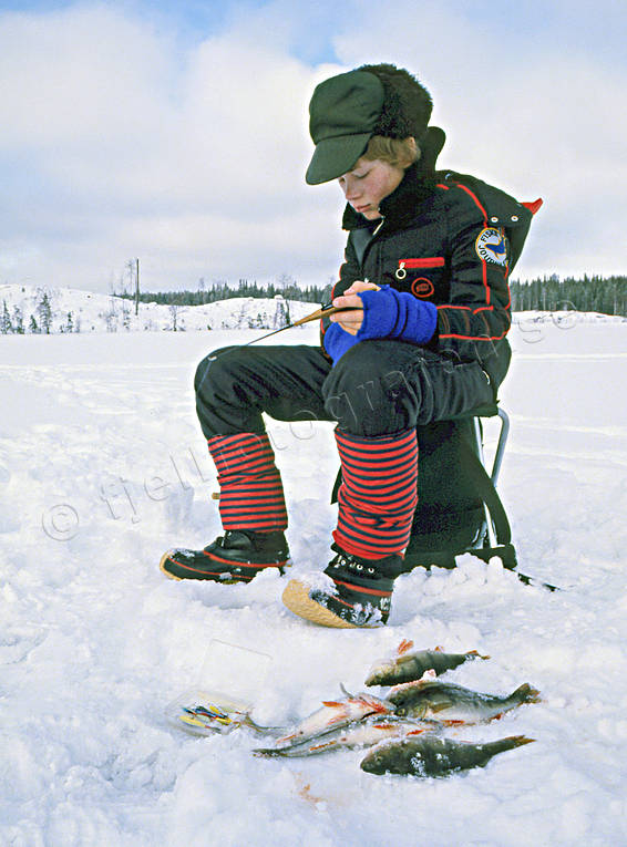 angling, boy, fishing, ice fishing, ice fishing, Landom lake, perch, perch fishing, winter fishing