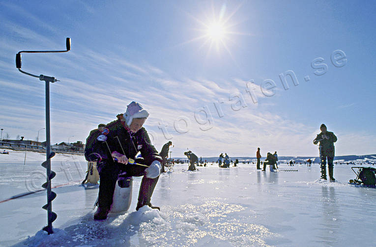 angling, fishing, Great Lake, ice fishing, ice fishing, ice fishing competition, Ostersund, perch, perch fishing, winter