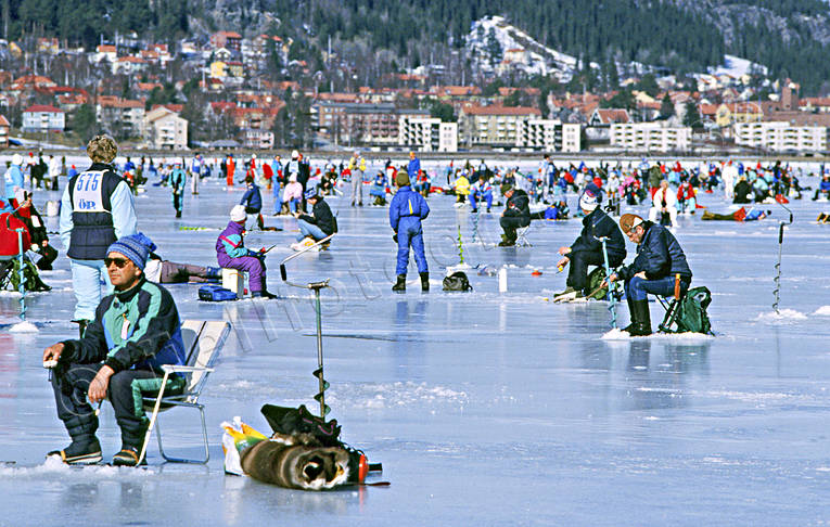 angling, fishing, Great Lake, ice fishing, ice fishing, ice fishing competition, Ostersund, perch, perch fishing, winter