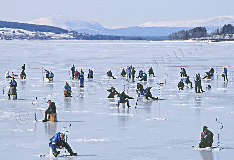 angling, fishing, Great Lake, ice fishing, ice fishing, ice fishing competition, Ostersund, perch, perch fishing, winter