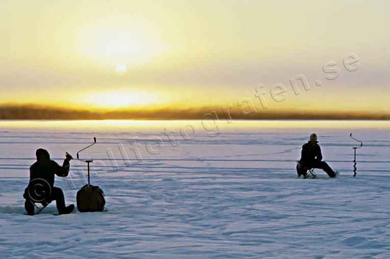 angling, cat throat, cold, cold, fishing, ice fishing, ice fishing, jig, dap, perch, perch fishing, sunset, winter fishing