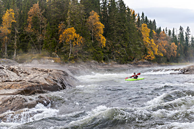 autumn, forskajak, Indal river, kanotist, kayak, outdoor life, stream, Tegefors, tube, paddle, watercourse, ventyr