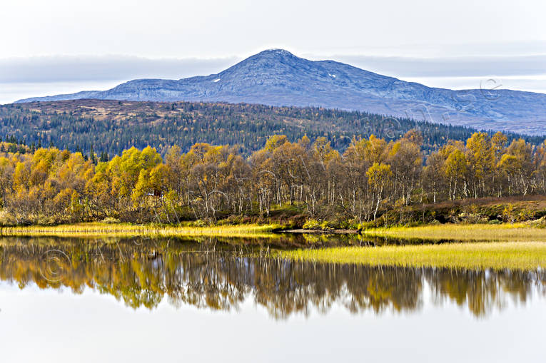 autumn, Jamtland, Kölahaugen, landscapes, mountain, mountain lake, mountain top, seasons