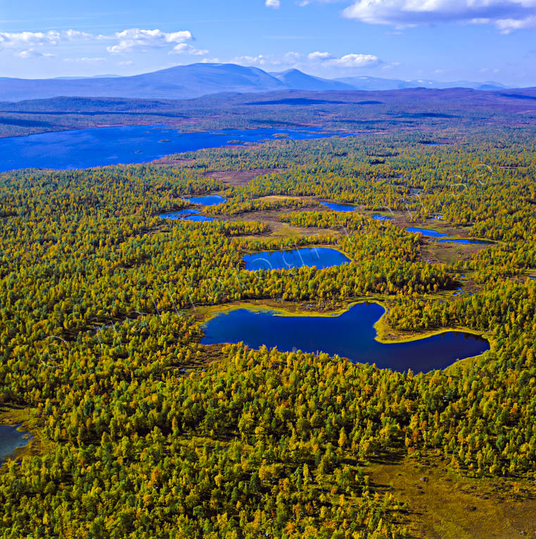 aerial photo, aerial photo, aerial photos, aerial photos, autumn, autumn colours, drone aerial, drnarfoto, landscapes, Lapland, mountain pictures, national parks, Pieljekaise, Tjallasjaure