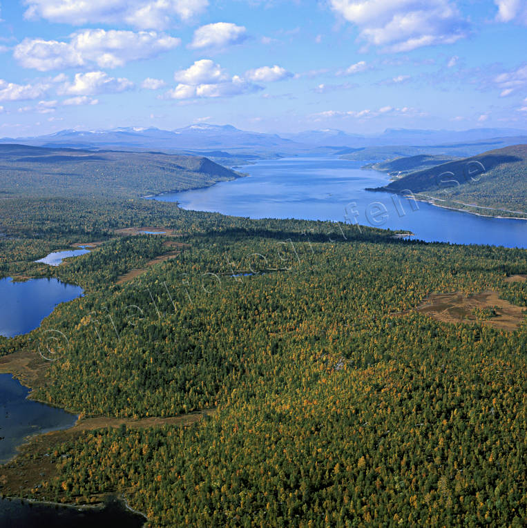 aerial photo, aerial photo, aerial photos, aerial photos, autumn, drone aerial, drnarfoto, Jackvik, landscapes, Lapland, Ringselet, Sadvajaure