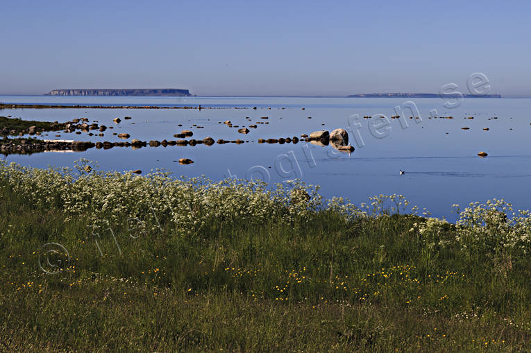 beach, Gotland, islands, landscapes, Lilla Karls, nature, sea, sea, sea-shore, Stora Karls, summer