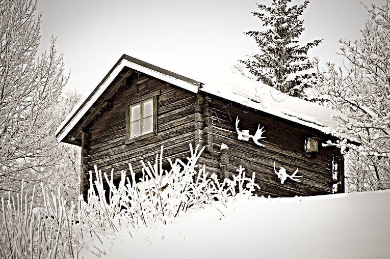 buildings, Jamtland, log-cabin, old, season, seasons, timber hut, timbered, winter, älghorn