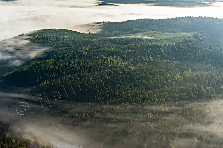 aerial photo, aerial photo, aerial photos, aerial photos, cloud, drone aerial, drönarfoto, fog, Jamtland, landscapes, summer, woodland
