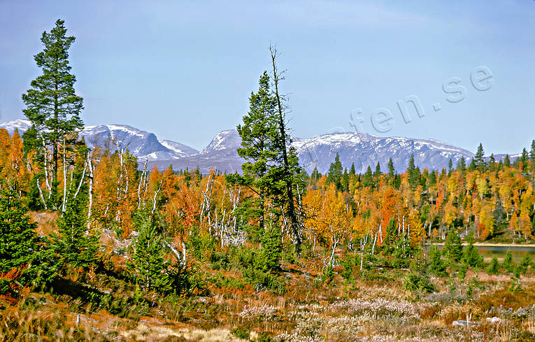 autumn, autumn colours, Jamtland, landscapes, Lunndorrsfjallen, mountain, Tosssen