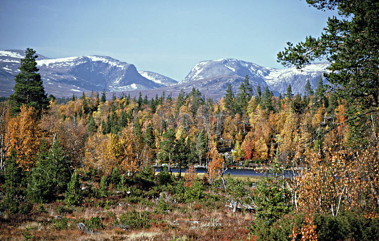 autumn, autumn colours, Jamtland, landscapes, Lunndorrsfjallen, mountain, Tossåsen