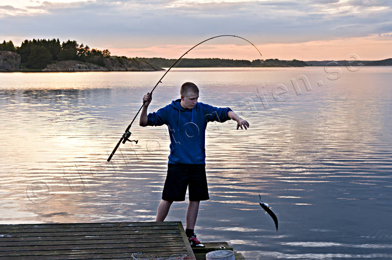 angling, Bohusln, coast, Lngekrr, makrill, nature, reel, sea, seasons, summer