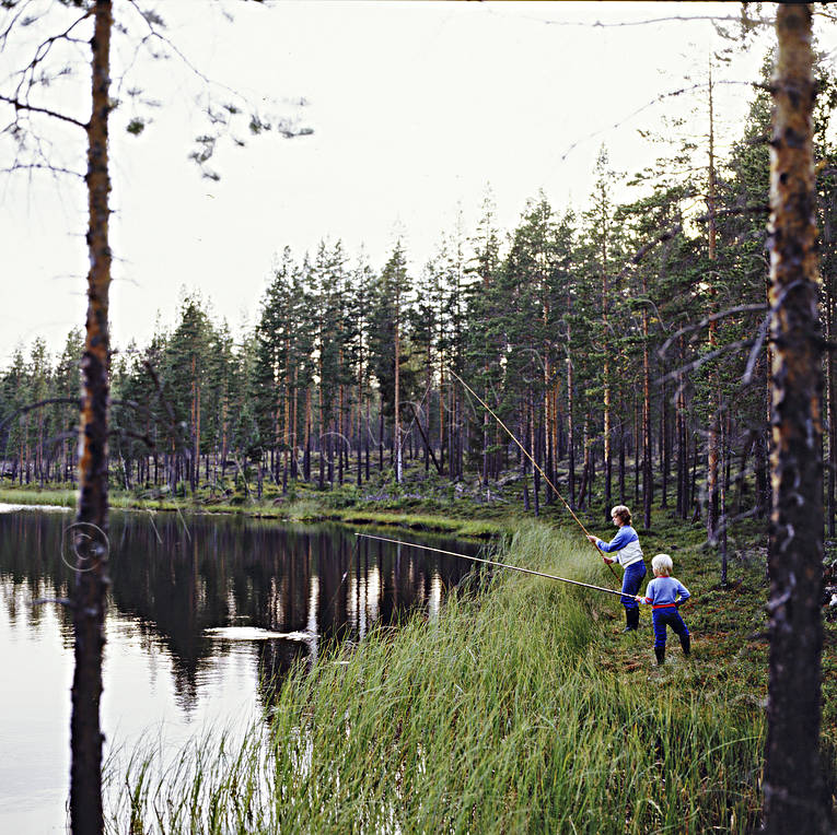 angles, angling, angling, fishing, forest tarn