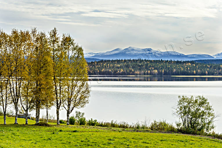 autumn, autumn colours, Jamtland, lake, landscapes, Medstugusjön, mountain, mountain lake, mountain top, tree, trädridå