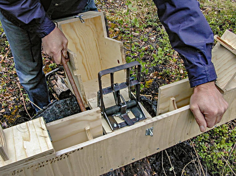 Hunting Trapping Mink trap of slagmodell grilled © toj01800