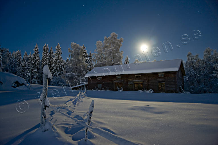 ambience, ambience pictures, atmosphere, christmas ambience, cowshed, full moon, moonlight, night, pines, season, seasons, snow-weighted, winter, winter's night