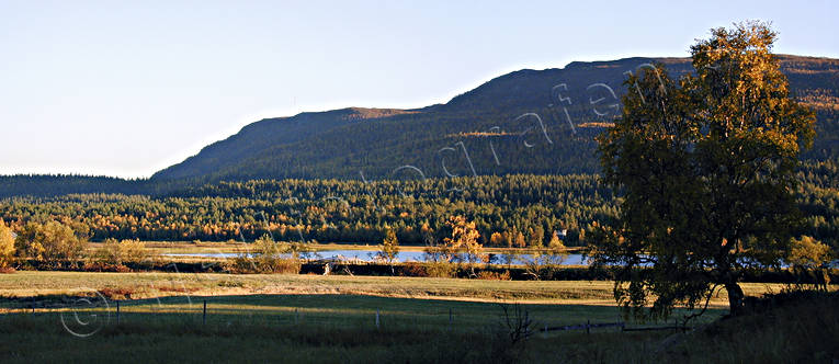 Ammarnas, autumn, evening, landscapes, Lapland, mountain, panorama, panorama pictures, Ribovardo