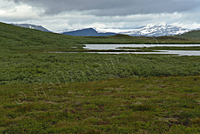 landscapes, Lapland, national park, Padjelanta, summer