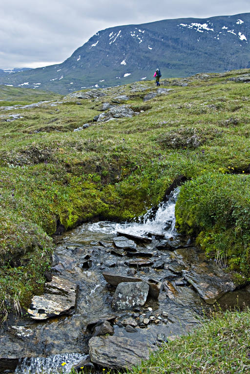 alpine hiking, clean, creek, klart, mountain stream, national park, Padjelanta, run(s), running, summer, vatten, water, äventyr