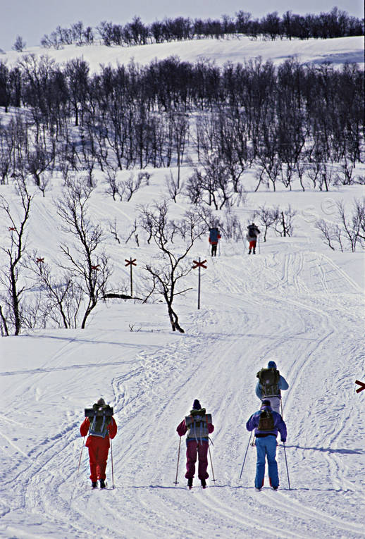 backcountry skiers, mountain, mountain tourisms, mountain tourists, mountain trip, ski touring, skies, skiing, tourism, tourists, track, wild-life, winter, ventyr