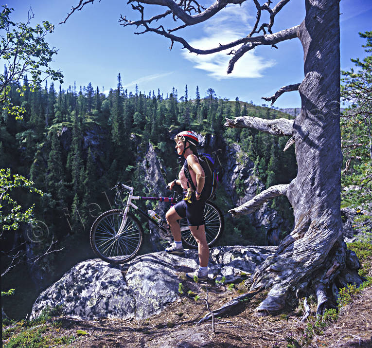 alpine landscape, bicyclist, bike, bikes, biking, dead tree, fjllcykling, Jamtland, landscapes, mountain, mountain nature, mountainbike, outdoor life, season, seasons, sommarfjll, sport, summer, terrngcykel, wild-life