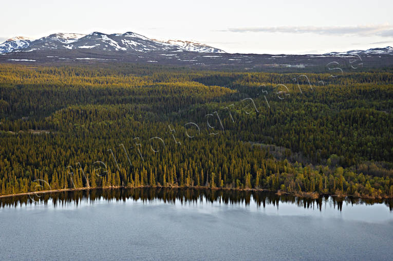 aerial photo, aerial photo, aerial photos, aerial photos, Ann lake, Bunnerfjallen, Bunnerviken, drone aerial, drnarfoto, Jamtland, landscapes, mountain forest, near mountains, summer, woodland