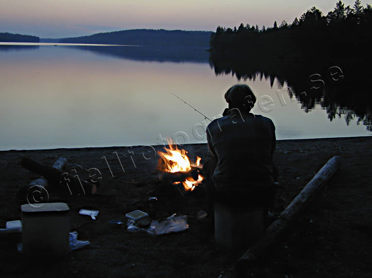 angling, angling, casting rod coarse fishing, fishing, midnight, night fishing