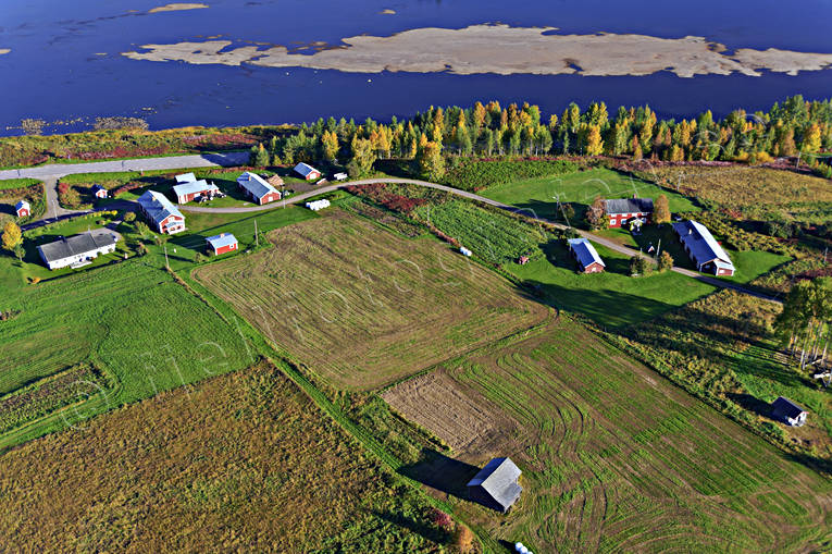 aerial photo, aerial photo, aerial photos, aerial photos, autumn, drone aerial, drönarfoto, farms, North Bothnia