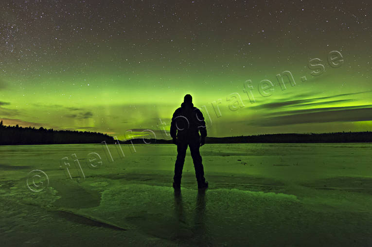 Jamtland, landscapes, nature, northern lights, seasons, singsjn, sky, winter