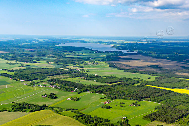 aerial photo, aerial photo, aerial photos, aerial photos, arable land, bog soils, drone aerial, drnarfoto, Fredsbergs, kulturlandskap, landscapes, odlingslandskap, summer, Vstergtland