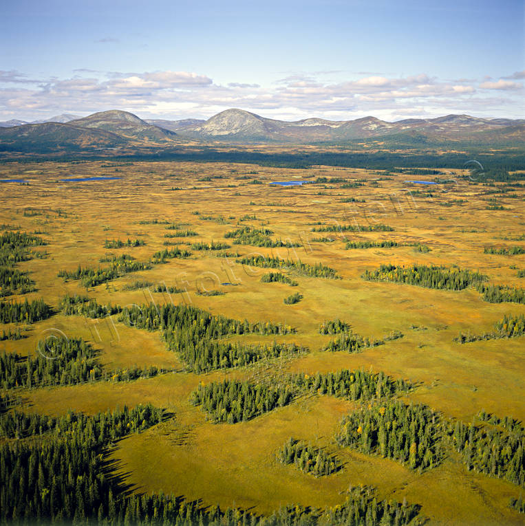 aerial photo, aerial photo, aerial photos, aerial photos, autumn, bog soils, drone aerial, drnarfoto, Duvvegaise, fjllbilder, Guoblemesjene, Jamtland, Jansmassholmen, Kvllsklumpen, landscapes, Lappluvan, marsh lands, marshes, mires, quags, Offerdalsfjllen, Oldfjallen, oldflon, Storrun, Swedish Mountains