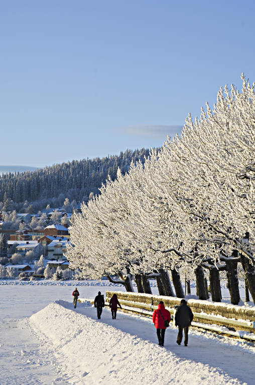 ambience, ambience pictures, atmosphere, Badhusparken, cold, cold, court, hoarfrost, Jamtland, mid-winter, Ostersund, park, winter, winter ambience, winter town