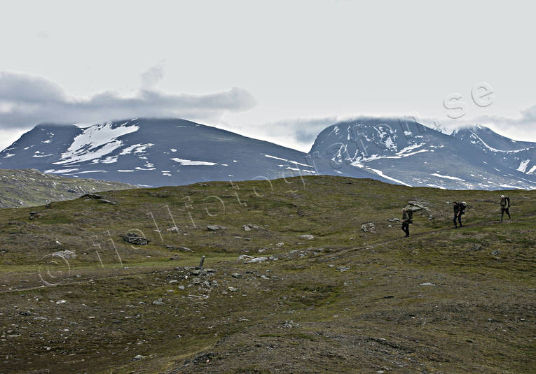 alpine, alpine hiking, back-packer, landscapes, Lapland, mountain, mountains, national park, nature, Padjelanta, sommarfjll, summer, wild-life