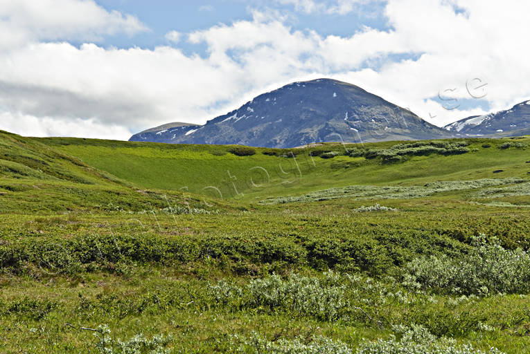 green, landscapes, Lapland, lush, mountain top, national park, Padjelanta, summer