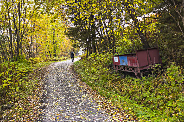 autumn, autumn colours, autumn leaves, Jamtland, mountain railway, path, road, seasons, wagon, woodland