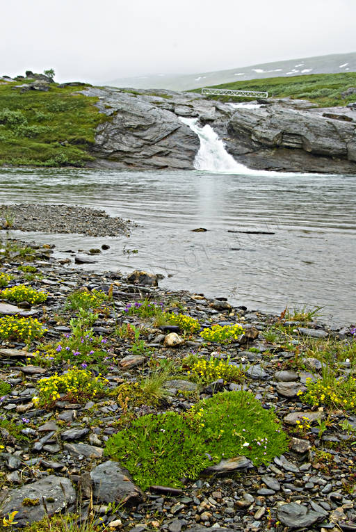 landscapes, Lapland, national park, Padjelanta, Pllaurjkk, summer