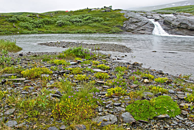 landscapes, Lapland, national park, Padjelanta, Pllaurjkk, summer