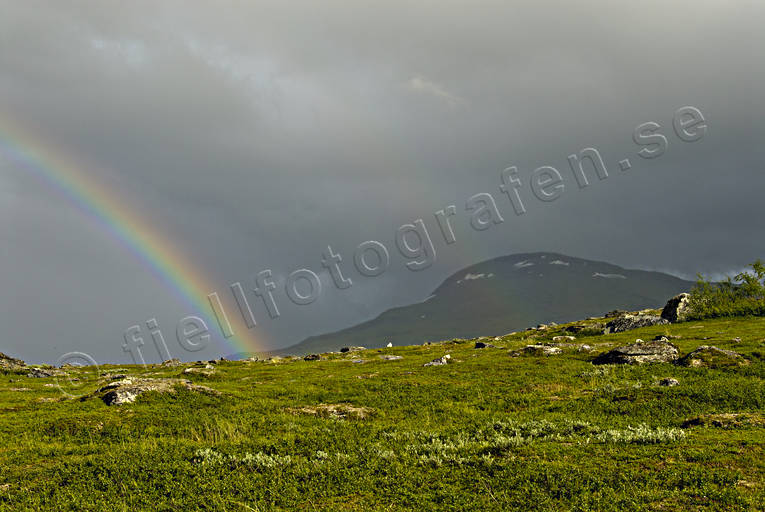 landscapes, Lapland, national park, Padjelanta, rainbow, summer