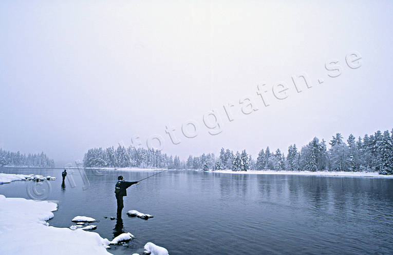 angling, fishing, Lovsjo stream, reel, reel fishing, spin fishing, spinning, trout fishing, winter, winter fishing