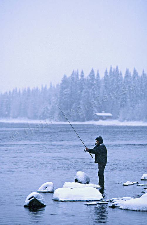 angling, fishing, Lovsjo stream, reel, reel fishing, spin fishing, spinning, trout fishing, winter, winter fishing