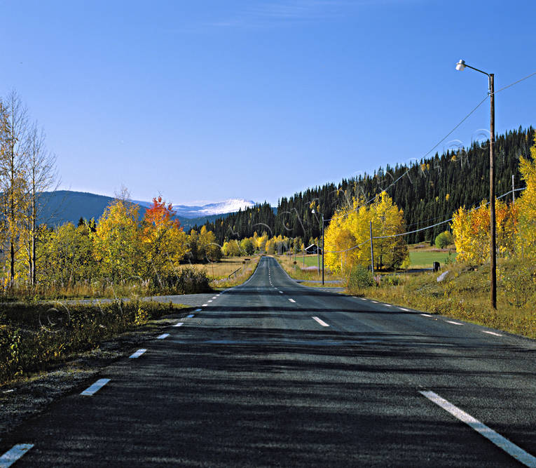 autumn, autumn colours, countryside, countryside, Gaddede, highway, Jamtland, landscapes, road, season, seasons, Sjulsasen